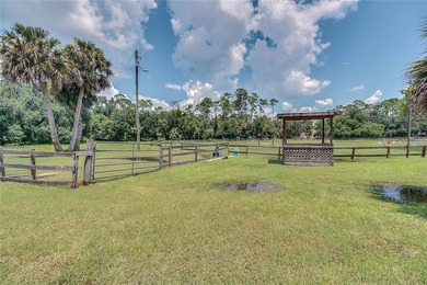 Under contract-accepting backup offers. Bring Your Horse - photo 45