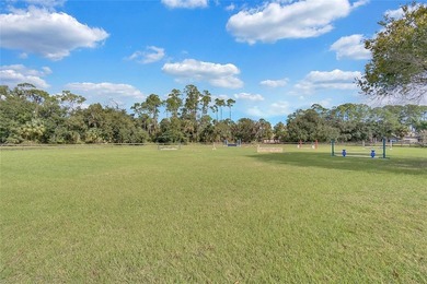 Under contract-accepting backup offers. Bring Your Horse - photo 46