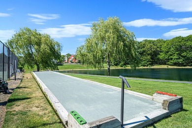 Charming home located in a 55+ gated community, ideally situated - photo 46