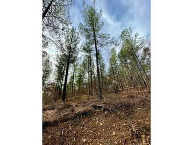 Broken Bow Lake Lot For Sale in Broken Bow Oklahoma