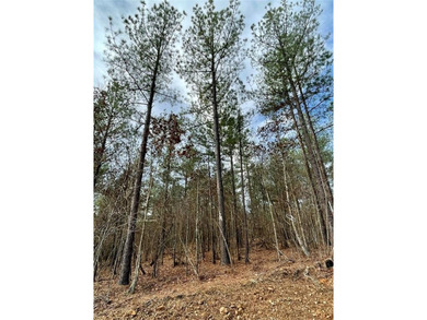 Broken Bow Lake Lot For Sale in Broken Bow Oklahoma