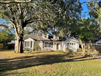 Lake Dora Home For Sale in Mount Dora Florida