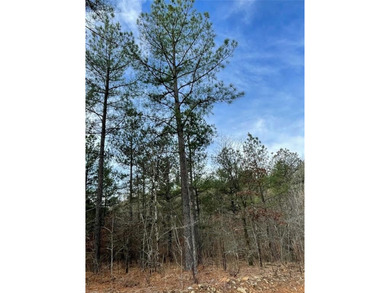 Broken Bow Lake Lot For Sale in Broken Bow Oklahoma