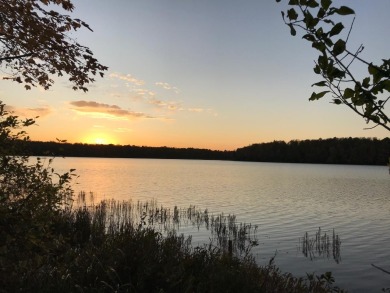Margaret Lake Lot For Sale in Three  Lakes Wisconsin
