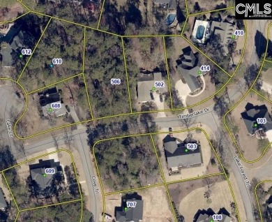 Lake Lot For Sale in Chapin, South Carolina