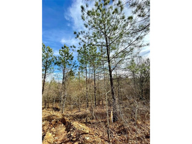 Broken Bow Lake Lot For Sale in Broken Bow Oklahoma