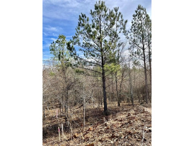 Broken Bow Lake Lot For Sale in Broken Bow Oklahoma