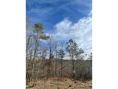 Broken Bow Lake Lot For Sale in Broken Bow Oklahoma