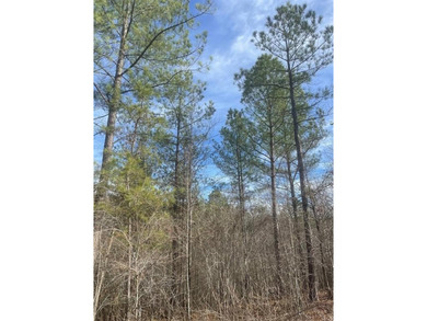 Broken Bow Lake Lot For Sale in Broken Bow Oklahoma