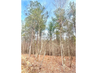 Broken Bow Lake Lot For Sale in Broken Bow Oklahoma