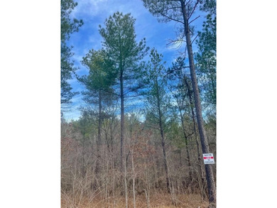 Broken Bow Lake Lot For Sale in Broken Bow Oklahoma