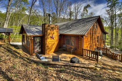 Situated on 1.9 private acres, this furnished mountain home - photo 17
