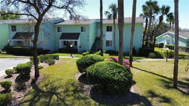 Lake Condo For Sale in Ocala, Florida
