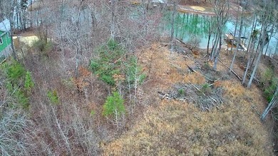 Are you looking for the perfect spot to build your dream home? - photo 13
