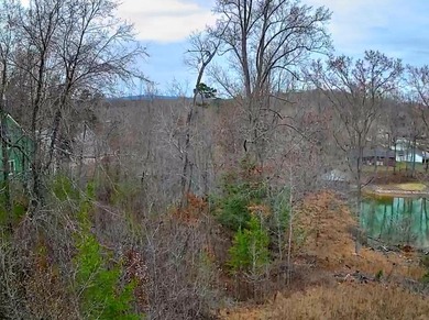Are you looking for the perfect spot to build your dream home? - photo 24