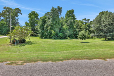 2 Acres Waterfront - photo 13