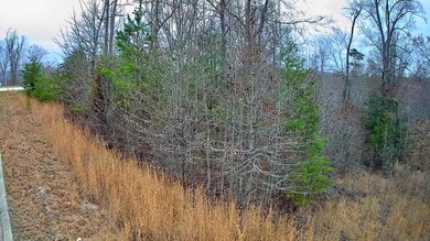 Are you looking for the perfect spot to build your dream home? - photo 26