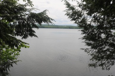 Lake Cami Lot Sale Pending in Franklin Vermont