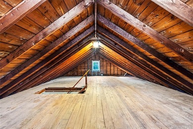 Fully renovated and beautifully designed mixed-use property - photo 15