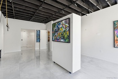 Fully renovated and beautifully designed mixed-use property - photo 18