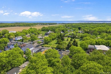 Fully renovated and beautifully designed mixed-use property - photo 24
