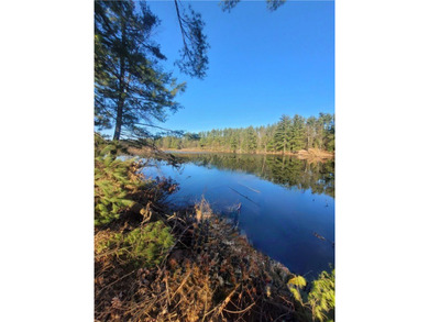 Lake Acreage For Sale in Merrillan, Wisconsin