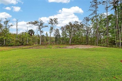 Located in the gated Palmetto Point subdivision on Buckswamp - photo 33
