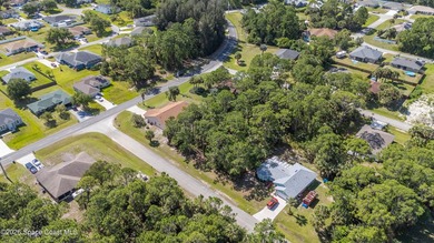 RARE find! This well-maintained 3/2/2 home sits on a half-acre - photo 44