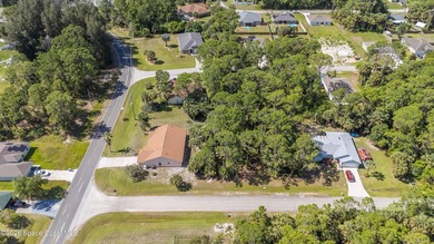 RARE find! This well-maintained 3/2/2 home sits on a half-acre - photo 45