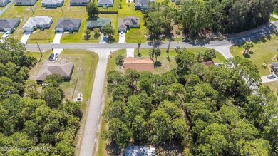 RARE find! This well-maintained 3/2/2 home sits on a half-acre - photo 46