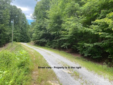 Lake Lot For Sale in Lake Lure, North Carolina