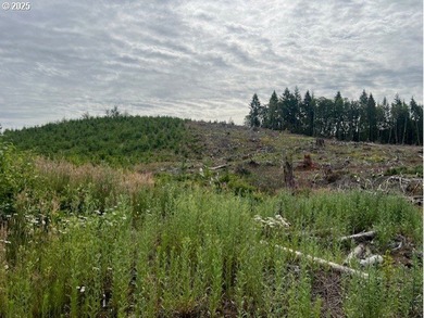 Here is an opportunity for a great recreational property. This - photo 3