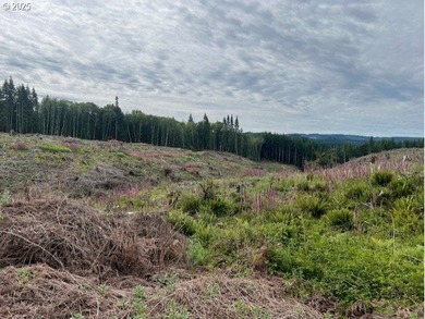 Here is an opportunity for a great recreational property. This - photo 4