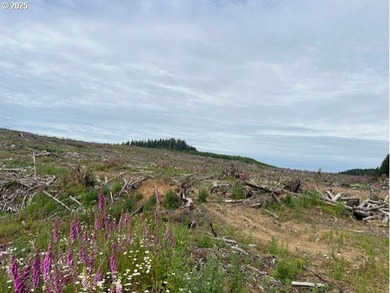 Here is an opportunity for a great recreational property. This - photo 8