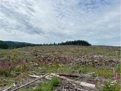 Here is an opportunity for a great recreational property. This - photo 9