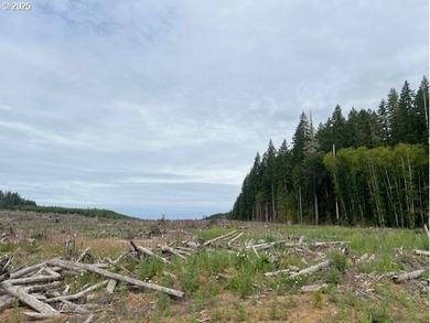 Here is an opportunity for a great recreational property. This - photo 10