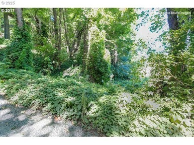 Discover a rare opportunity to own a unique piece of land on NW - photo 11
