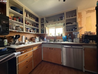 Rare Brookings Investment Opportunity! Two detached homes on one - photo 7