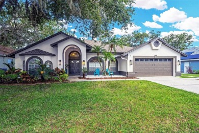 Lake Home For Sale in Land O Lakes, Florida
