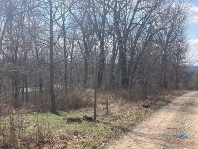 (private lake, pond, creek) Acreage For Sale in Lincoln Missouri