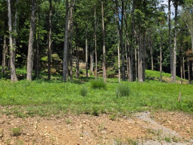 Rustic Setting, Close to the Lake! - Lake Lot For Sale in Falls Of Rough, Kentucky
