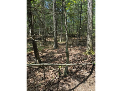 (private lake, pond, coastal) Lot For Sale in North Smithfield Rhode Island
