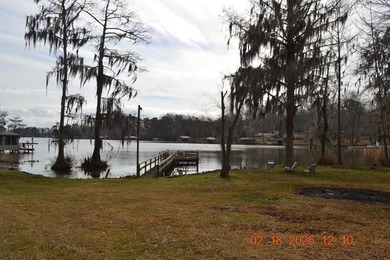 LAKE BLACKSHEAR ON SPRING CREEK. 3 BEDROOMS 2 BATHSE ENJOY THE - photo 20