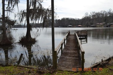 LAKE BLACKSHEAR ON SPRING CREEK. 3 BEDROOMS 2 BATHSE ENJOY THE - photo 21