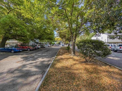 A rare and lucrative investment opportunity awaits at Wachesaw - photo 36