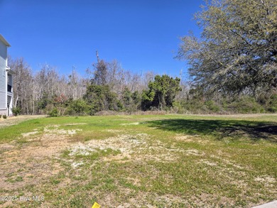 Founders Lake  Lot For Sale in Newport North Carolina