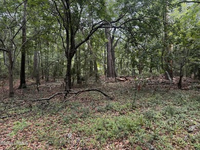 Nestled at 43 Pine Grove Road, Beaufort, South Carolina, this 2 - photo 2