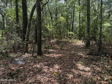 Nestled at 43 Pine Grove Road, Beaufort, South Carolina, this 2 - photo 3