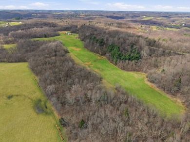 Prime Development Opportunity: 107+ Acre Private Airpark & - photo 16