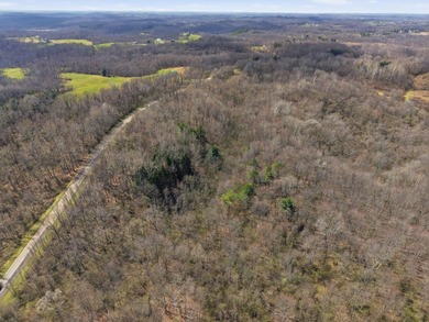 Prime Development Opportunity: 107+ Acre Private Airpark & - photo 21